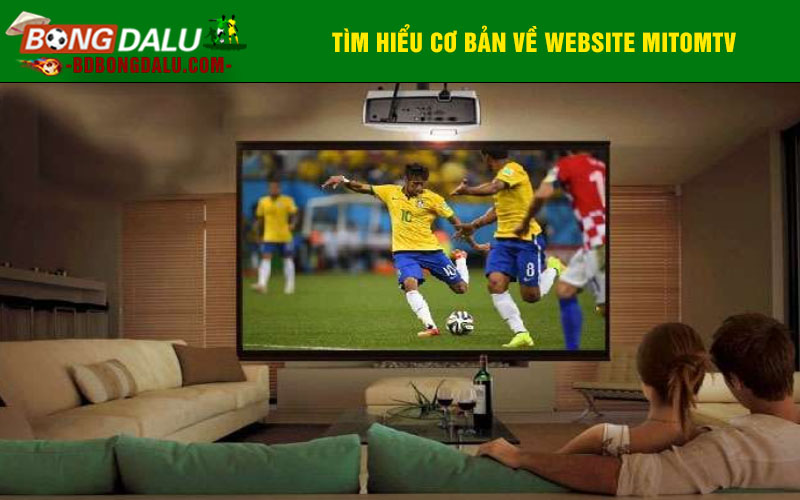Tìm hiểu cơ bản về Website Mitomtv