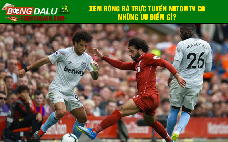 Xem bóng đá trực tuyến Mitomtv có những ưu điểm gì?