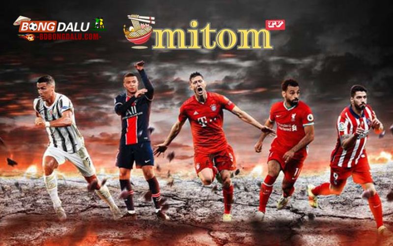 Mitom có bản quyền những đấu trường thể thao cấp thế giới