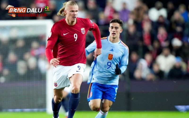 Những giải đấu nổi bật có trên Colatv