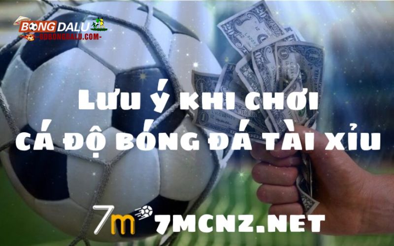 Những lưu ý khi cá độ bóng đá tài xỉu