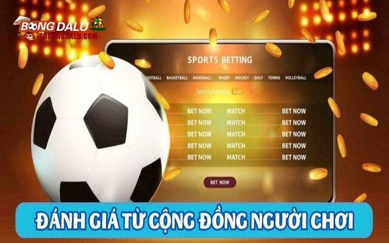 W88 có lừa đảo không? Những điều cần chú ý khi đánh giá nhà cái uy tín